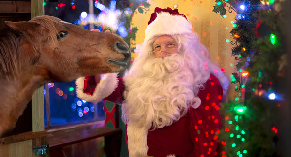My Horse's Christmas Wish List for Santa