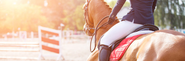 Why You Should Always Volunteer at Horse Shows