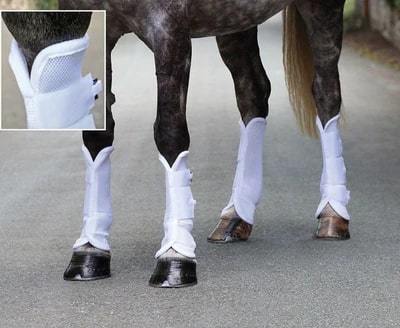 Fly Boots for Horses - One Stop Equine Shop