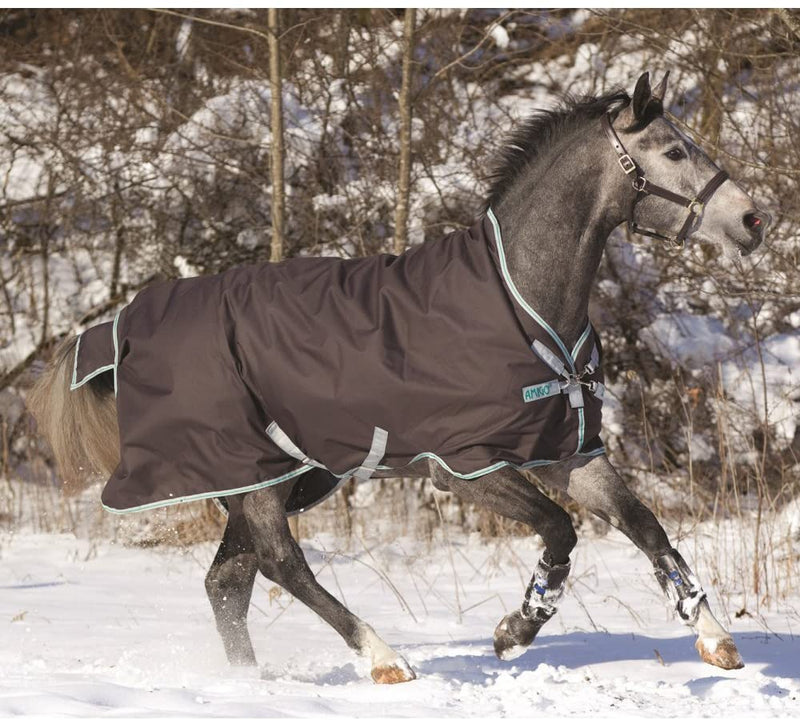 Horse in snow wearing Excal Silver/Green Amigo Bravo 12 Wug Turnout Blankets Horseware Ireland