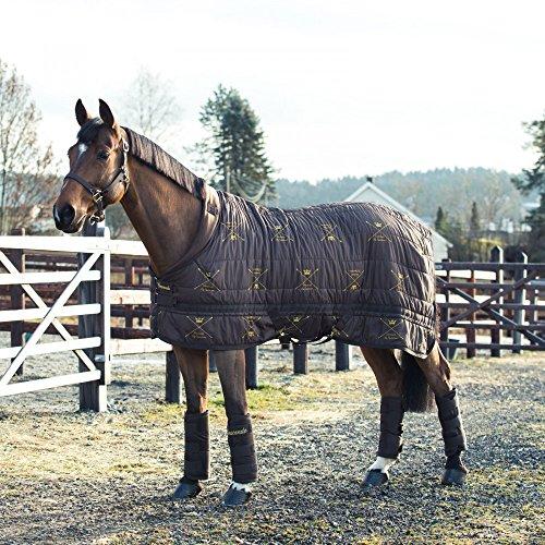 B Vertigo Corey 250 g Stable Blanket – Dark Horse Tack Company