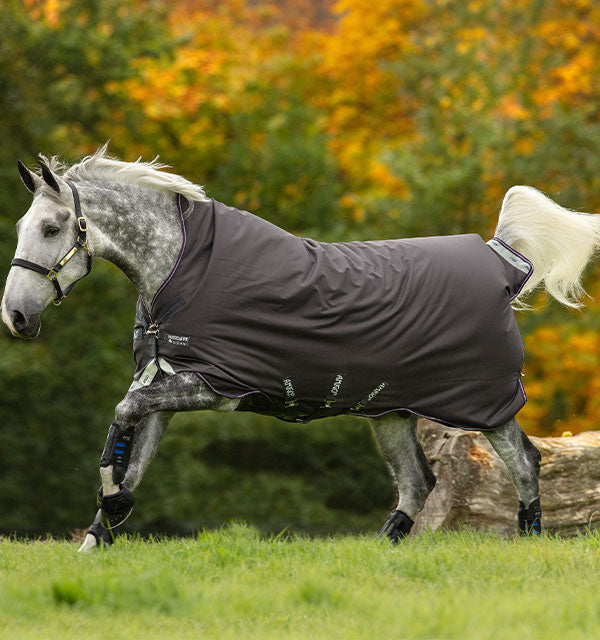 Horse running in Excal/Plum & Silver Amigo Bravo 12 Wug Medium Turnout Blankets Horseware Ireland