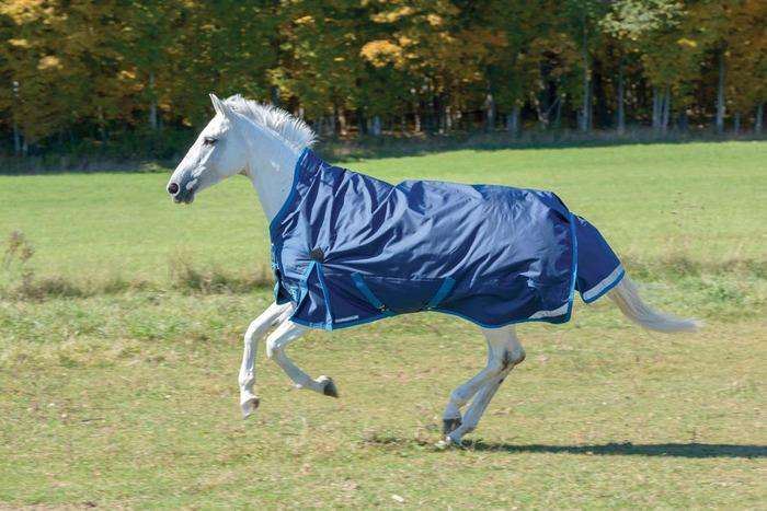 StormBreaker Plus 220G High Neck Turnout Sheet Turnout Blankets Shires 78 Navy/Turqouise 