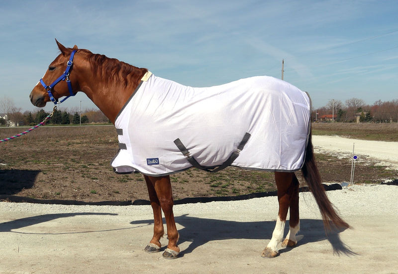 Side View of White/Dark Grey BasEQ Fly Sheet One Stop Equine Shop