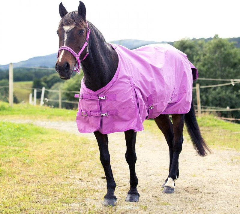 Purple Horze Pony 600D Winter Medium Weight 200g Turnout Blanket