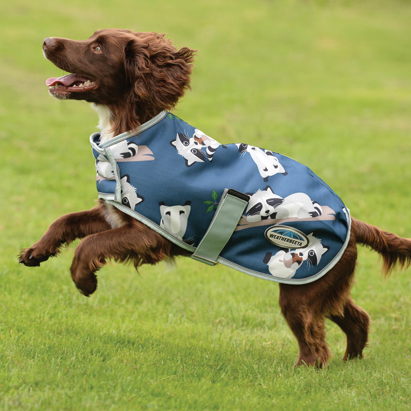 Dog Wearing Racoon Print Weatherbeeta ComfiTec Premier Free Parka Dog Coat Medium
