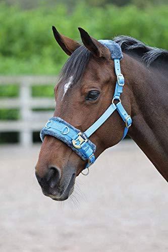 Shires Fleece Lined Lunge Cavesson English Bridle Accessories Shires Equestrian Blue Cob 