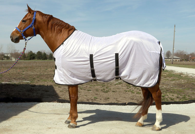 Side View of White/Black BasEQ Fly Sheet with Belly Closure One Stop Equine Shop 63"