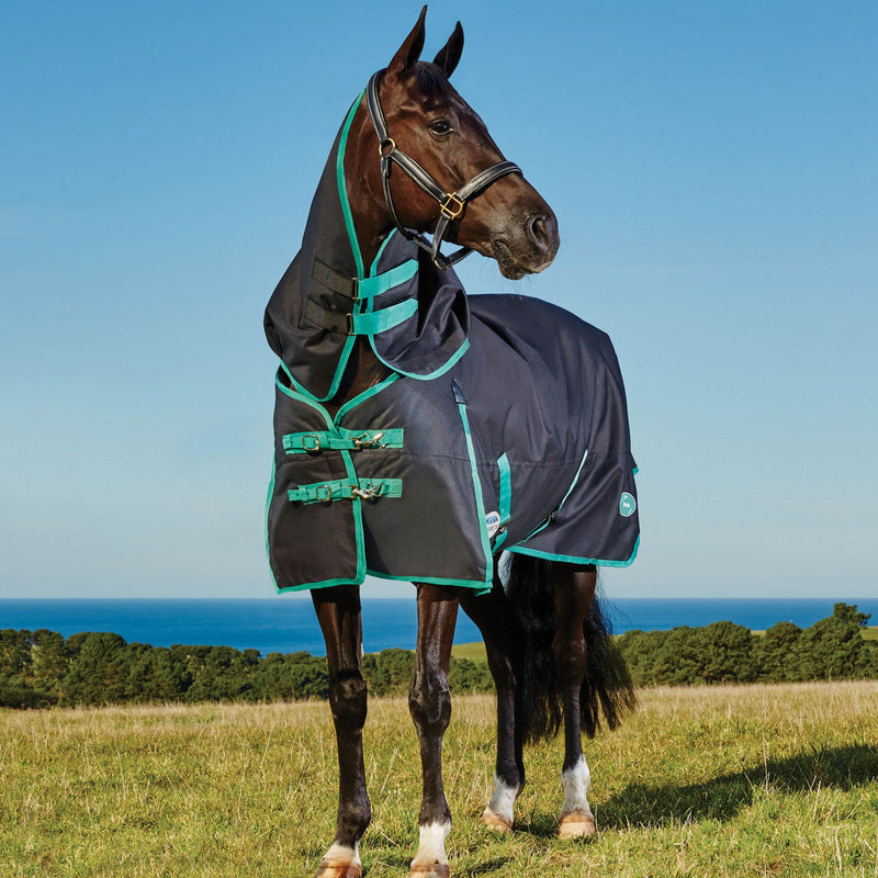 Horse wearing Black/Bottle Green Weatherbeeta Green-Tec 900D Detach-A-Neck Medium Turnout Blankets