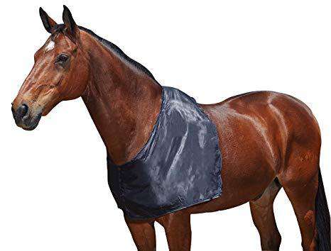 Weatherbeeta Satin Shoulder Guard Blanket Accessories Weatherbeeta Pony Black 