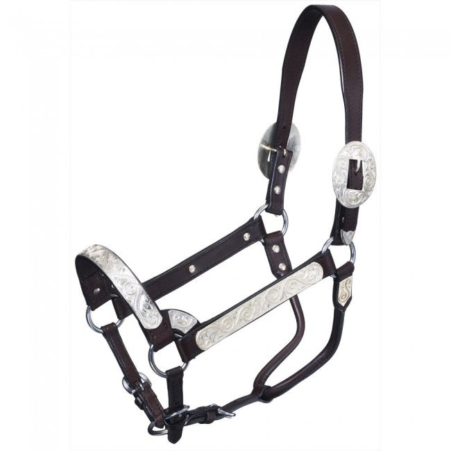 Tough 1 Premium Bright Cut Edge Silver with Scroll Show Halter Leather Halters