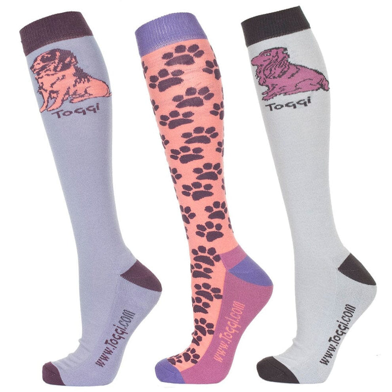 Toggi Marketa Ladies Socks Spaniel Design 3 Pack Socks Toggi Lilac 4-8 