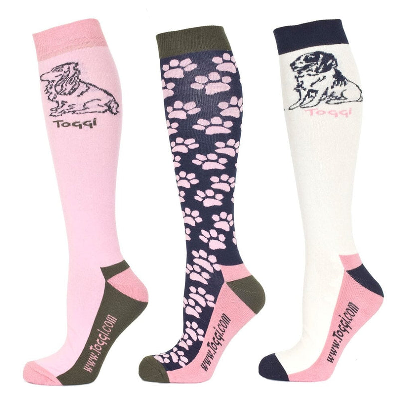Toggi Marketa Ladies Socks Spaniel Design 3 Pack Socks Toggi Blossom 4-8 