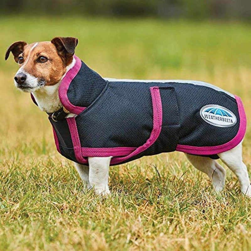 Weatherbeeta Parka 1200D Deluxe Dog Coat Dog Coats Weatherbeeta Black/Boysenberry 26" 