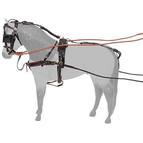 Silver Royal Fine Show Harness Horse English Bridle Accessories JT International 