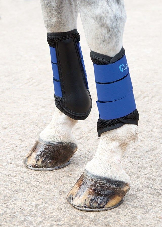 Shires ARMA Air Motion Brushing Boots Competition/Exercise Boots Shires Equestrian Royal Blue Small Pony 
