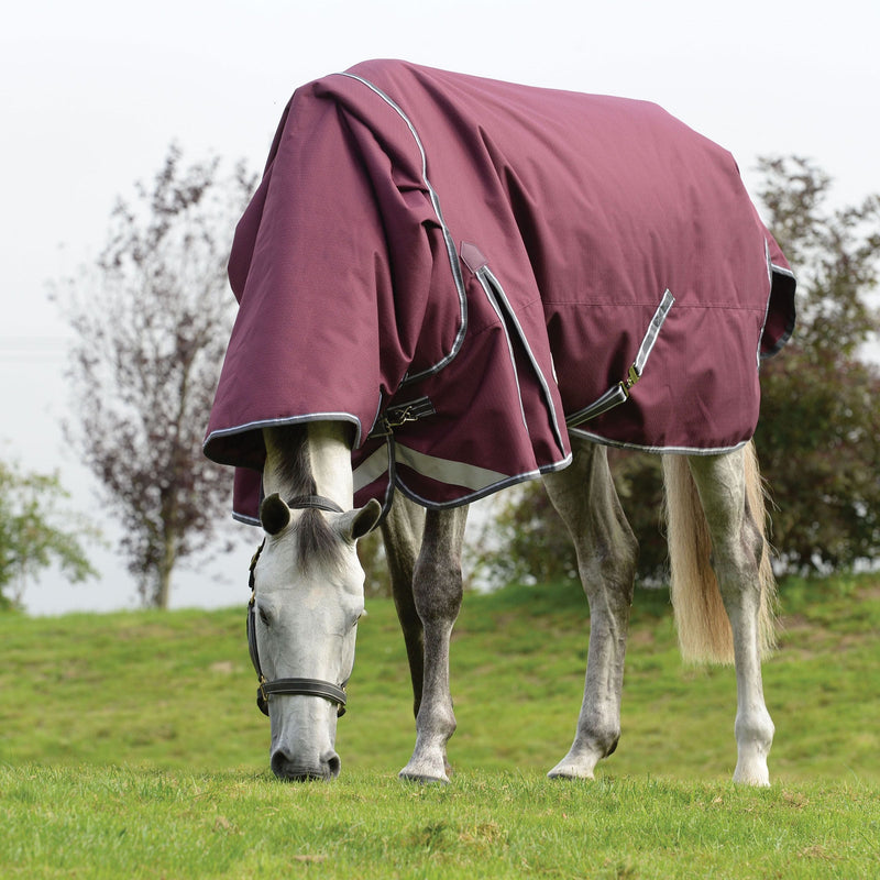 Horse Grazing in Maroon/Grey/White Weatherbeeta ComFiTec Plus Dynamic II Detach-A-Neck Lite Turnout Blankets