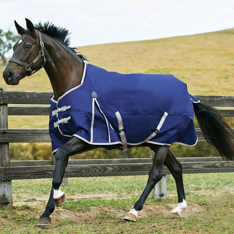 Horse Wearing Navy/Silver/Red Weatherbeeta Comfitec Essential Standard Neck Heavy Turnout Blankets