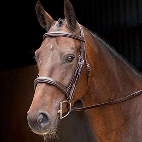 Shires Rossano Florence Bridle English Bridles Shires Equestrian 