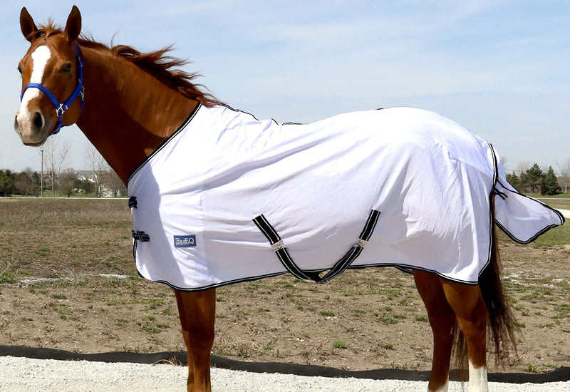 Horse wearing White/Black BasEQ Standard Neck Fly Sheet Fly Sheets One Stop Equine Shop