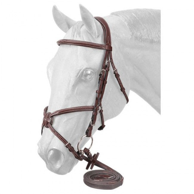 Brown Premium Padded Fancy Stitched Raised Figure Eight English Bridle JT International
