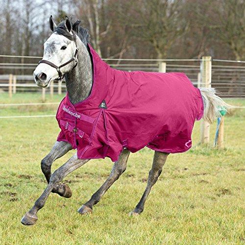 Horze Avalanche Pro Turnout Horse Blanket With Fleece, 1200D, Light/Medium Weight Turnout Sheets Horze Boysenberry Purple 63 