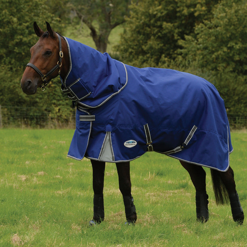 Horse Standing on Grass Wearing Dark Blue/Grey/White Weatherbeeta Comfitec Premier Free II Detach-A-Neck Medium Turnout Blankets