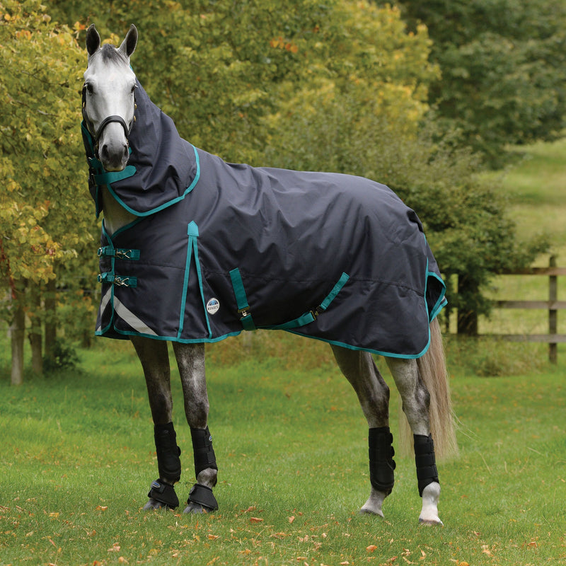 Horse Wearing Black/Aqua Weatherbeeta Comfitec Plus Dynamic II Detach-A-Neck Medium Turnout Blanket