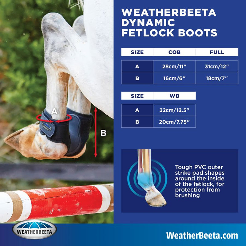 Size chart for Weatherbeeta Dynamic Fetlock Boots Competition/Exercise Boots