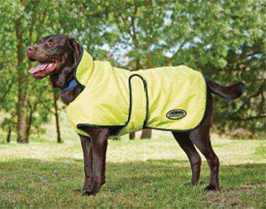 Weatherbeeta Windbreaker 420D Deluxe Lite Dog Coat Dog Coats Weatherbeeta 12" Yellow/Black 