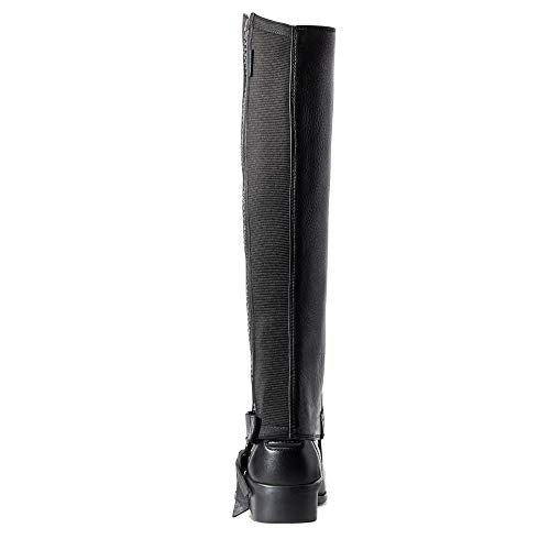 Back side of Ariat Breeze Unisex Half Chaps Leather Half Chaps