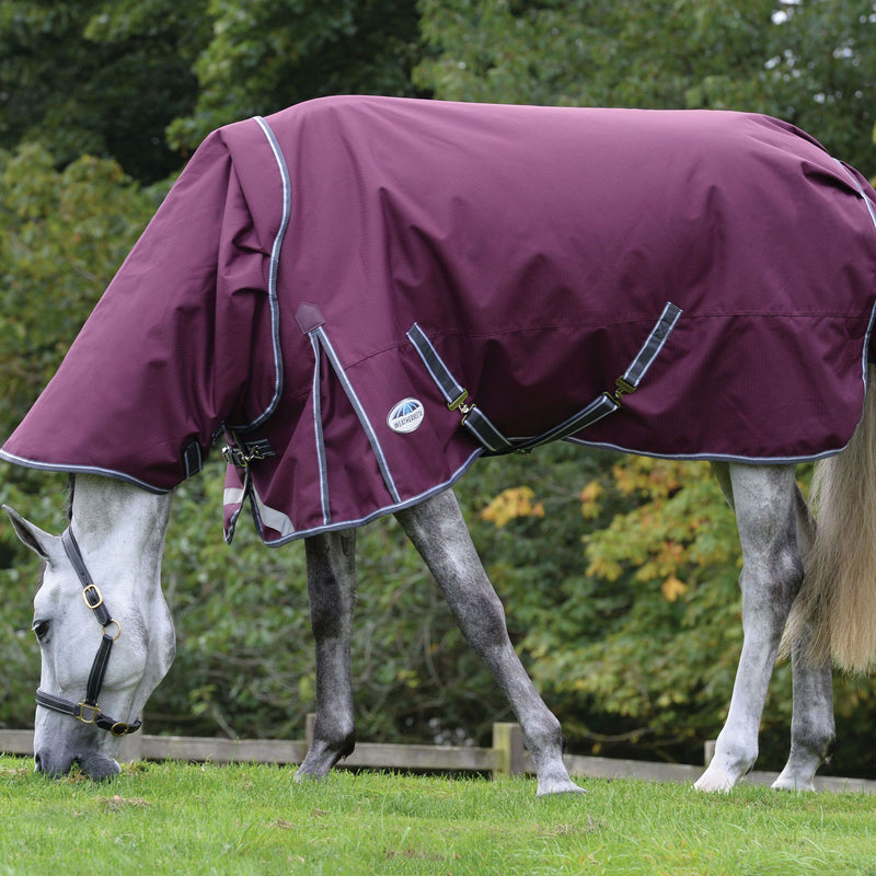 Size View of Horse Grazing in Maroon/Grey/White Weatherbeeta ComFiTec Plus Dynamic II Detach-A-Neck Lite Turnout Blankets