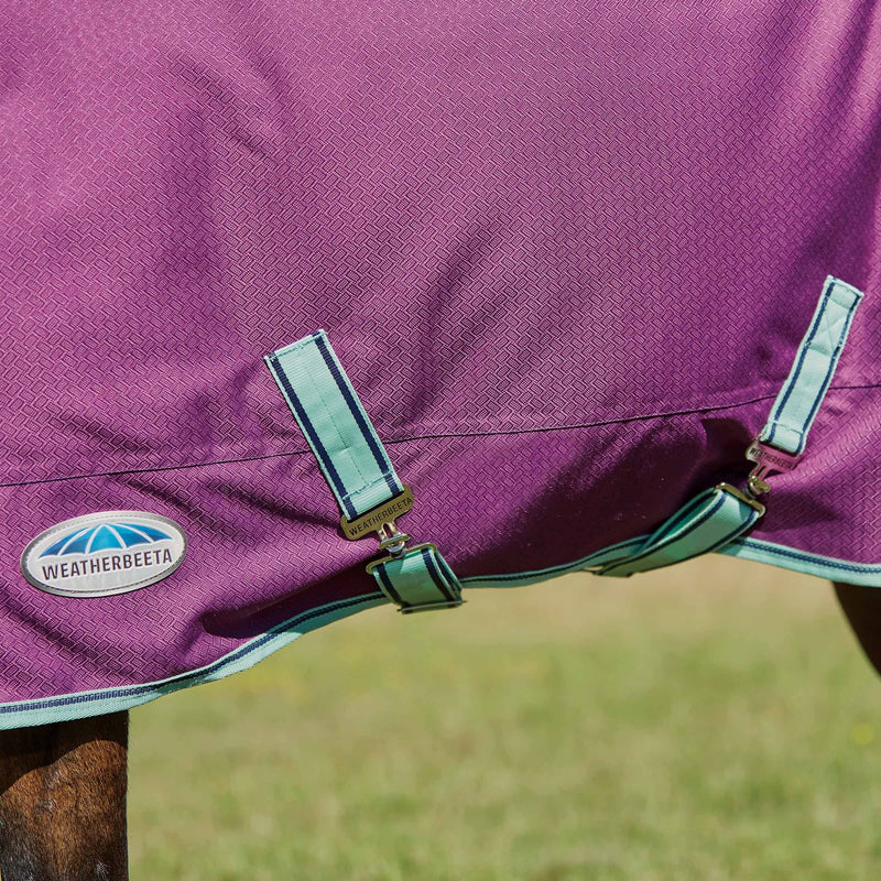 Purple/Navy/Mint Weatherbeeta Comfitec Premier Freedom Pony Standard Neck Medium Turnout Blankets