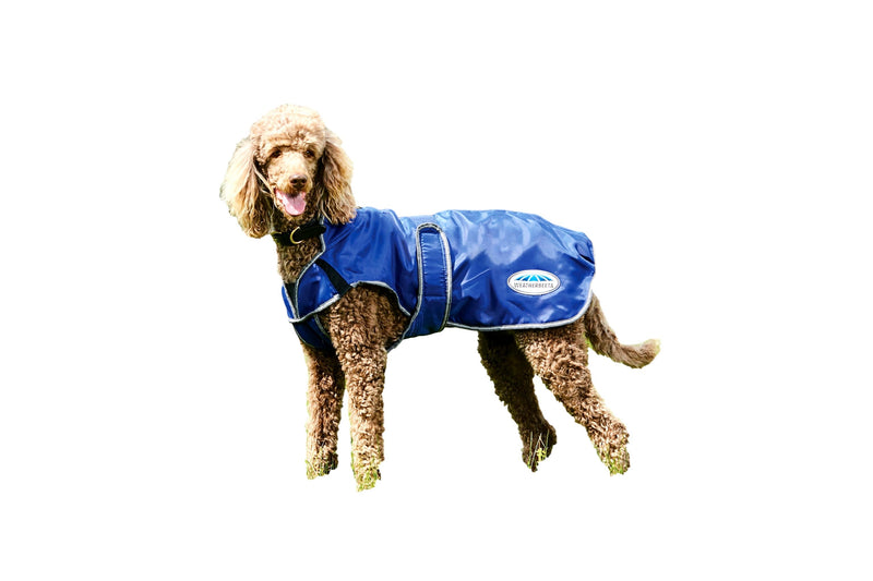 Dog Wearing Dark Blue/Grey/White Weatherbeeta ComfiTec Windbreaker Free Deluxe Dog Coat Dog Coats