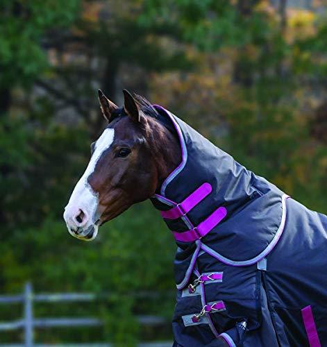 Shires Highlander Plus 300g Neck Cover Turnout Blankets Shires Equestrian Navy Small 