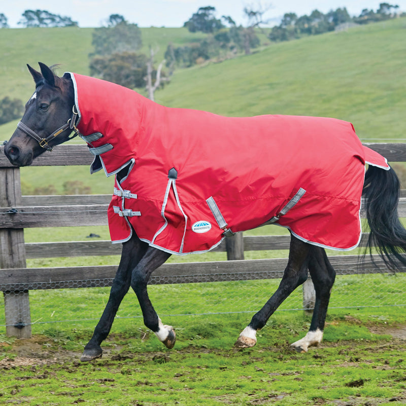 Black Horse Wearing Red/Silver/Navy Weatherbeeta Comfitec Classic Combo Neck Medium Turnout Blankets