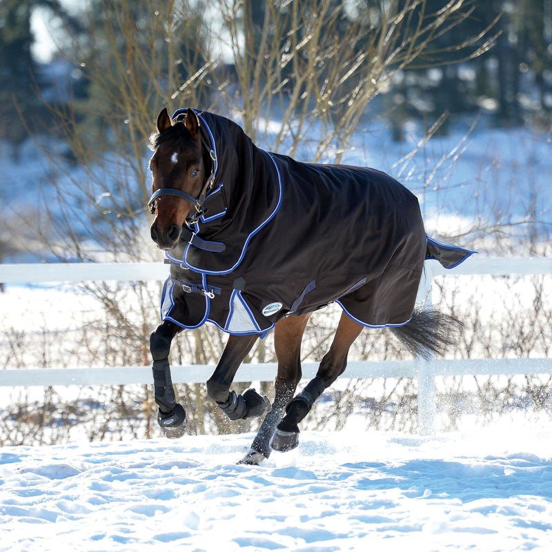 Horse running in Charcoal/Blue/White Weatherbeeta Comfitec Ultra Cozi II Detach-A-Neck Heavy Turnout Blankets