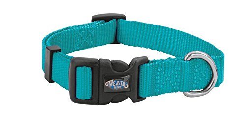 Weaver Leather Nylon Prism Snap-N-Go Collar Dog Collars and Leashes Weaver Leather Turquoise Large 