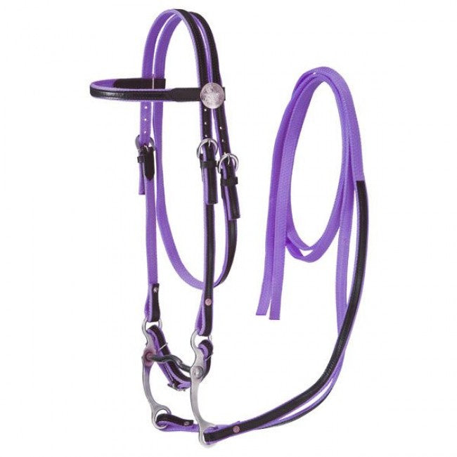 Purple King Series Horse Nylon With Leather Bridle JT International