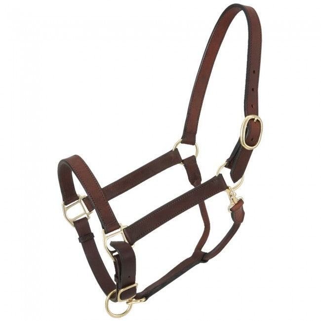Brown Draft Royal King Churchill Stable Halter with Snap Leather Halters JT International
