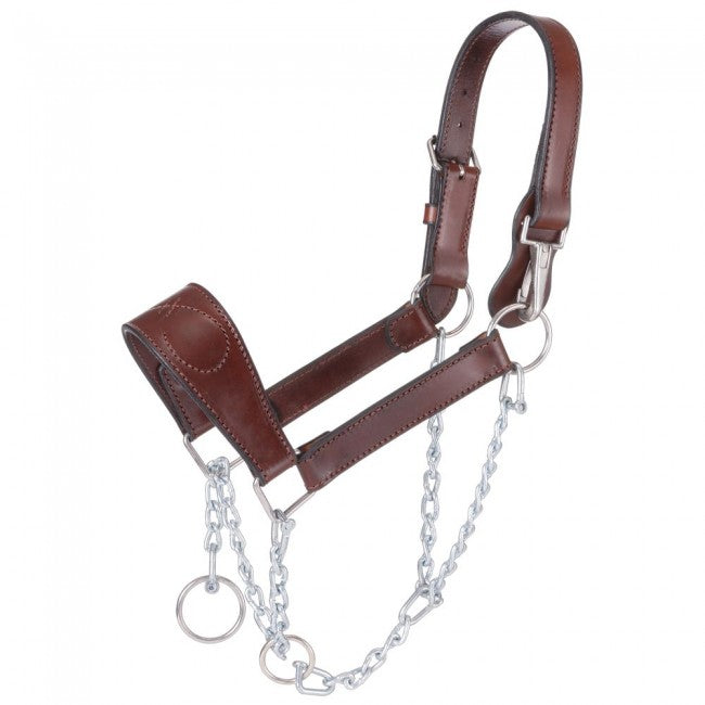 Brown  Royal King Leather Mule Halter with Draw Chain Leather Halters JT International