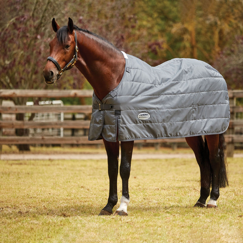 Horse wearing Grey Weatherbeeta Comfitec Liner Medium Blanket Accessories