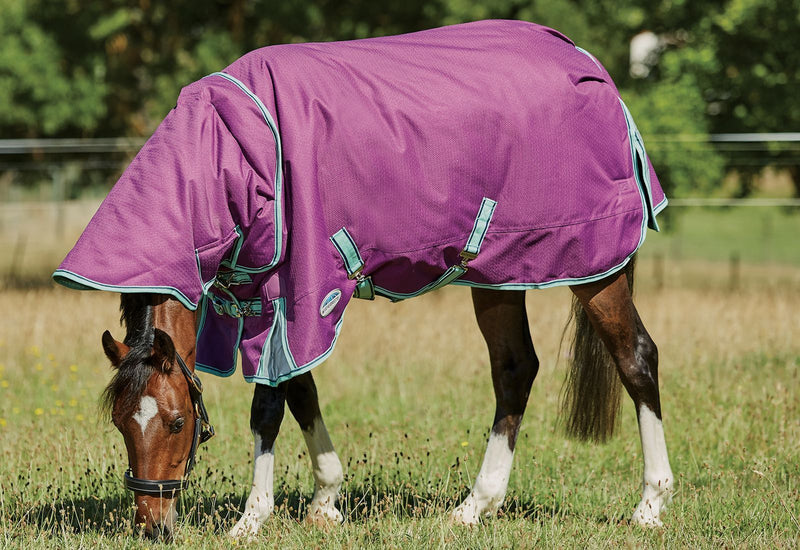 Horse Grazing in Purple/Navy/Mint Weatherbeeta Comfitec Premier Freedom Pony Detach-A-Neck Lite Turnout Blankets