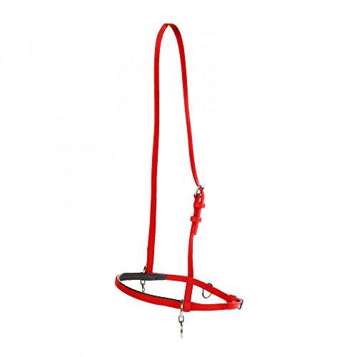 Finntack Synthetic Head Halter - Martingale Ring Martingales Horze Red Cob 