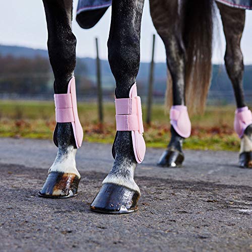 Horze Tendon Boots Competition/Exercise Boots Horze Lady Light Pink Horse 