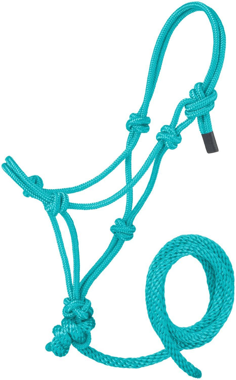 Turquoise Large Tough 1 Miniature Poly Rope Halter with Lead