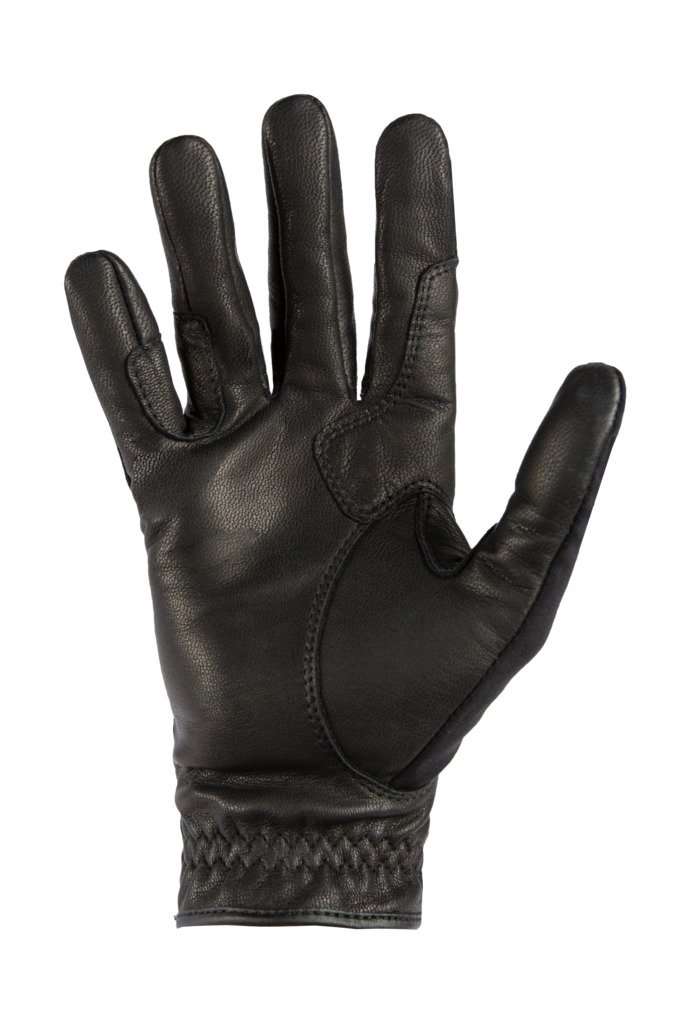Noble Outfitters Winter Show Glove Gloves Noble Outfitters 