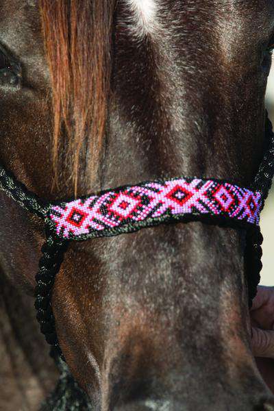Professional's Choice Cowboy Braided Halter Rope Halters Professional's Choice 10' Black/Pink 