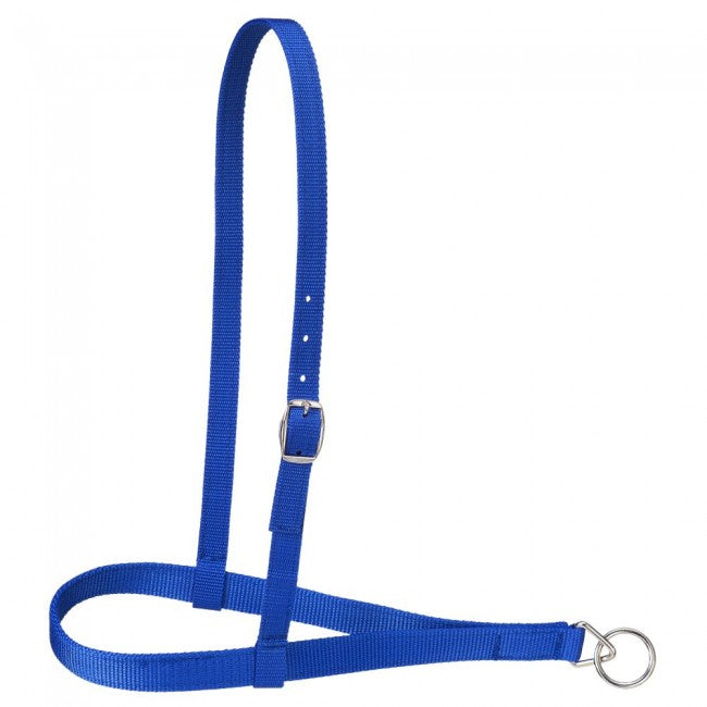 Blue Royal King Nylon Web Noseband Western Bridle Accessories JT International