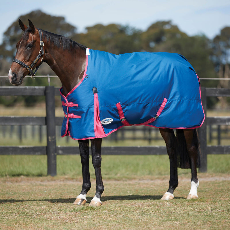 Horse Wearing Blueberry/Pink Weatherbeeta Comfitec Classic Standard Neck Medium Turnout Blanket